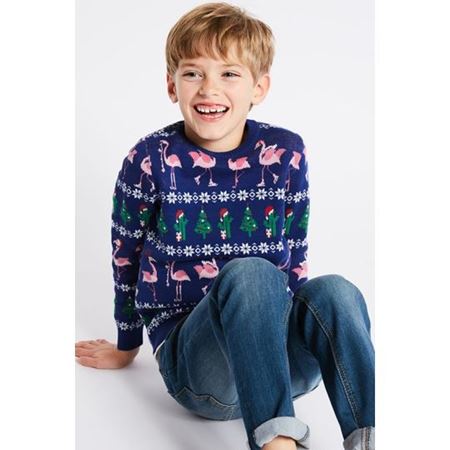 Multi Renk Erkek Çocuk Fairisle Desenli Flamingo Kazak