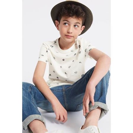 Multi Renk Erkek Çocuk 2'li Saf Pamuklu T-Shirt