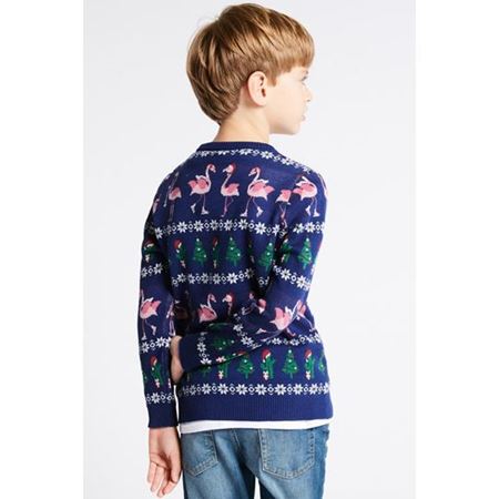 Multi Renk Erkek Çocuk Fairisle Desenli Flamingo Kazak