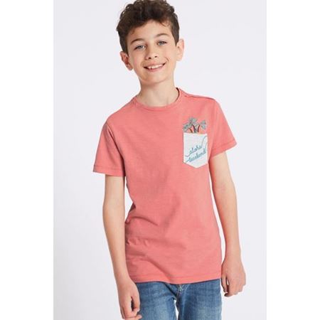 Multi Renk Erkek Çocuk 2'li Saf Pamuklu T-Shirt