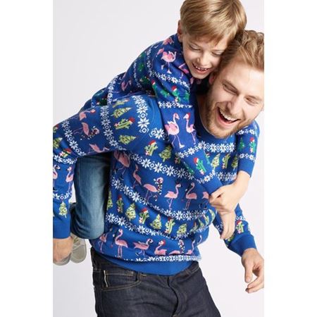 Multi Renk Erkek Çocuk Fairisle Desenli Flamingo Kazak